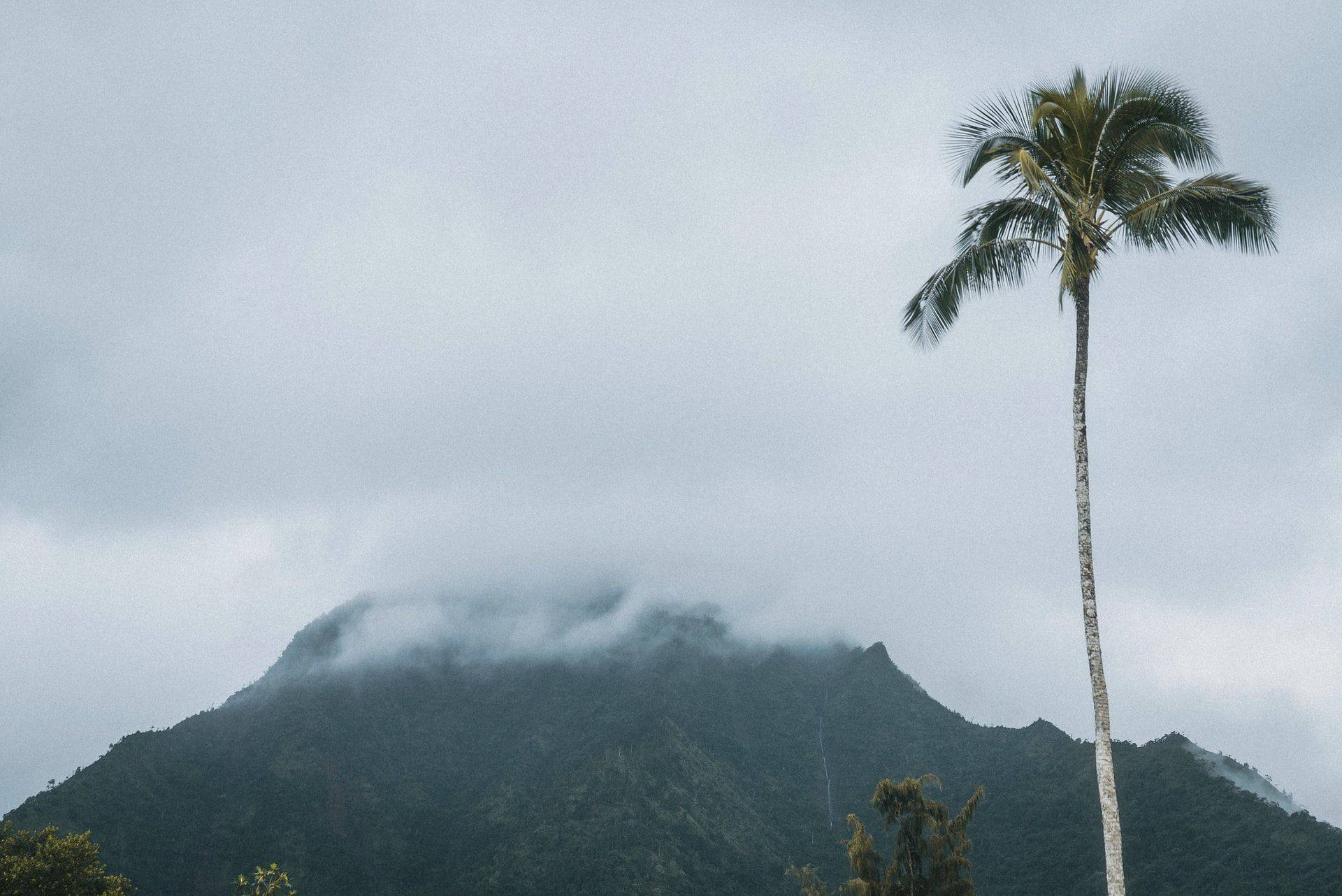 Travel to Kauai mist volcano